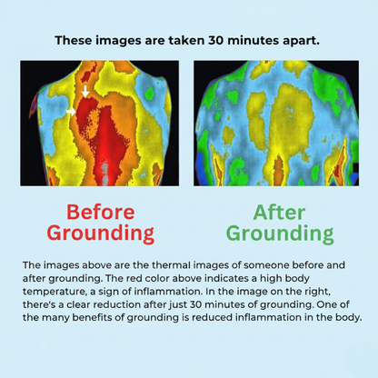 NoxenGround™ Mattress